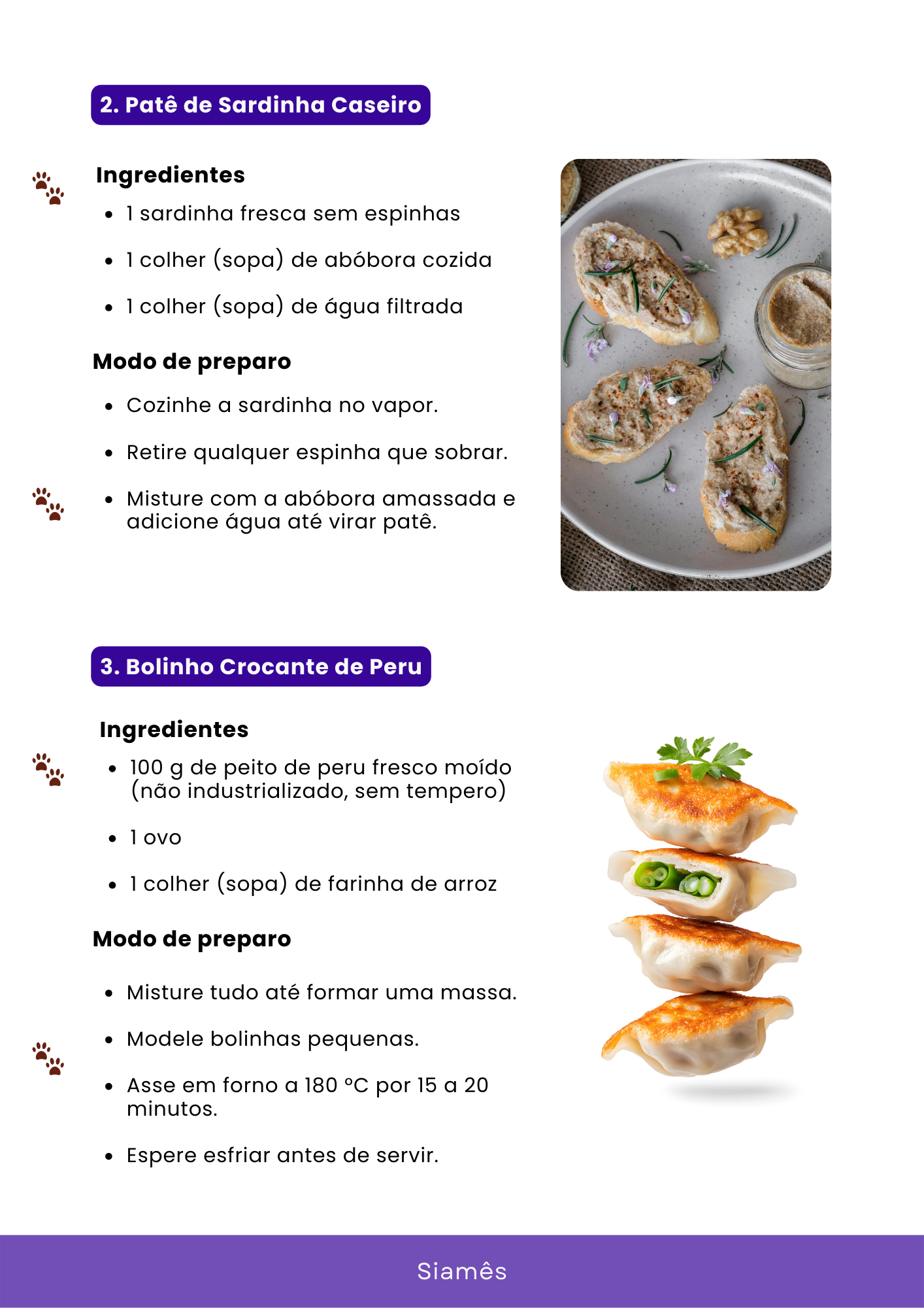 45 Receitas Caseiras para seu gato