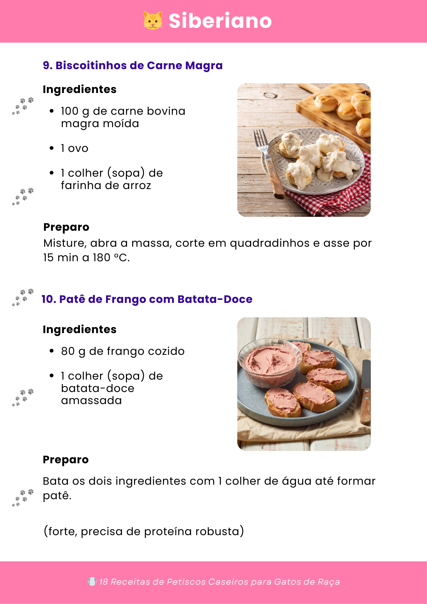 🍽️ 18 Receitas de Petiscos Caseiros para Gatos de Raça (1)