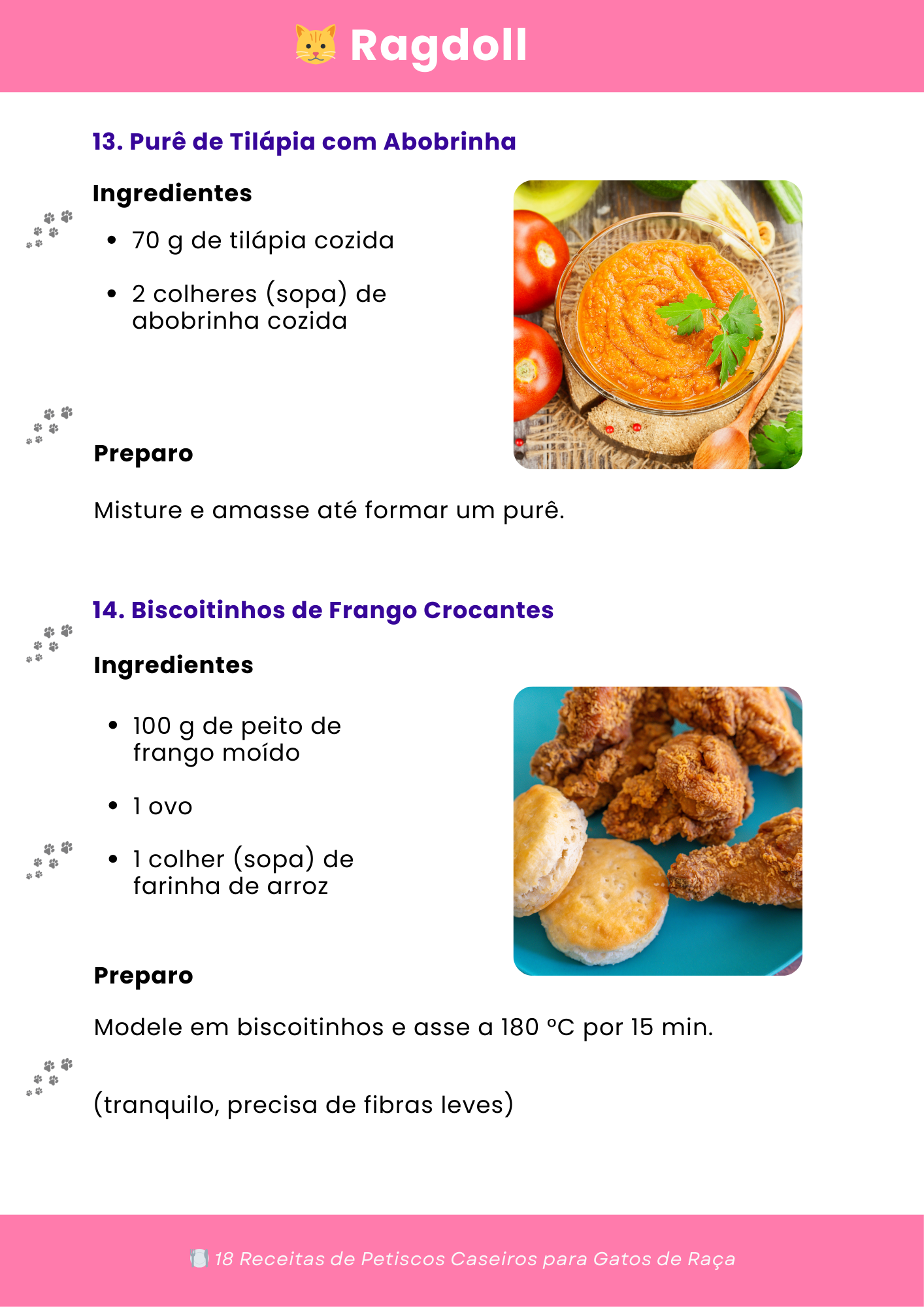 🍽️ 18 Receitas de Petiscos Caseiros para Gatos de Raça